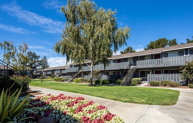 A building with a tree in front of it.