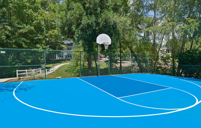 Avalon-Peaks-Apartments-Apex-NC-Basketball-Court