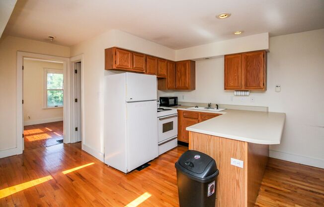 1 bed, 1 bath, $920, Unit Apt A