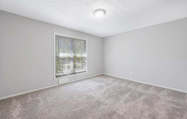 an empty room with carpet and a window