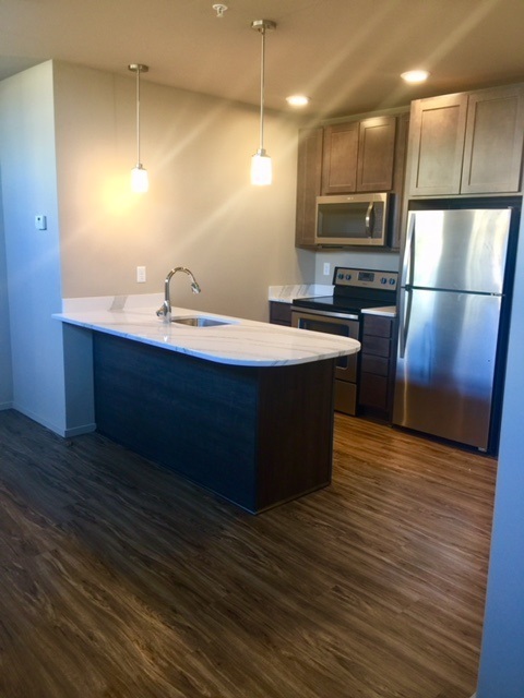 1 bed, 1 bath, 657 sqft, $1,125, Unit 101