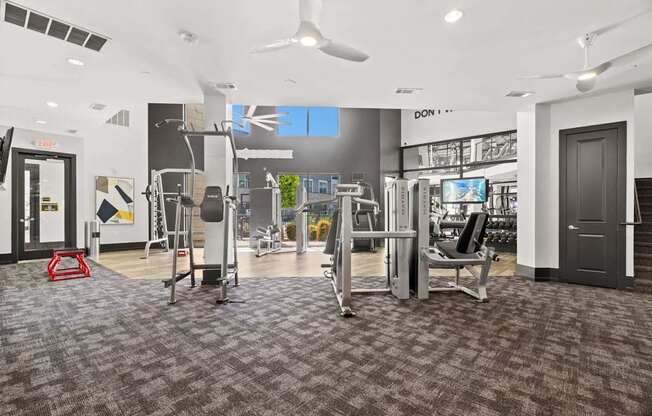 A gym with a variety of equipment including treadmills, weights, and a squat rack.