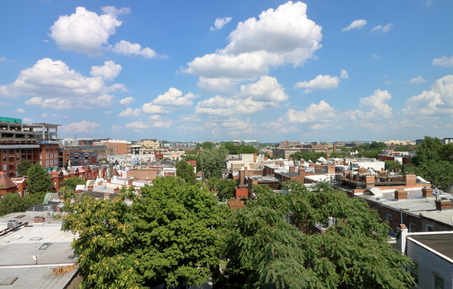 1 bed, 1 bath, 366 sqft, $2,350, Unit 505