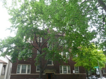 Quiet, Sunny, Desirable Roscoe Village