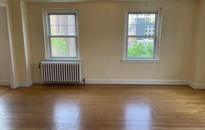 Studio, 1 bath, 301 sqft, $1,425, Unit Wellington 509