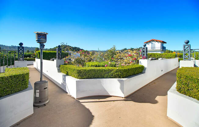 a view of a garden with hedges and a white fence and a blue sky