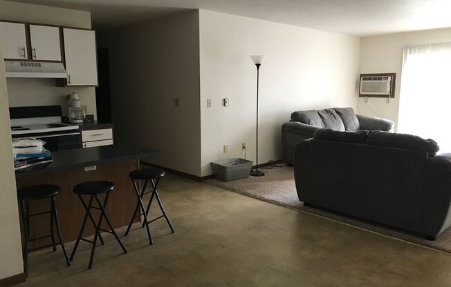 1 bed, 1 bath, $500