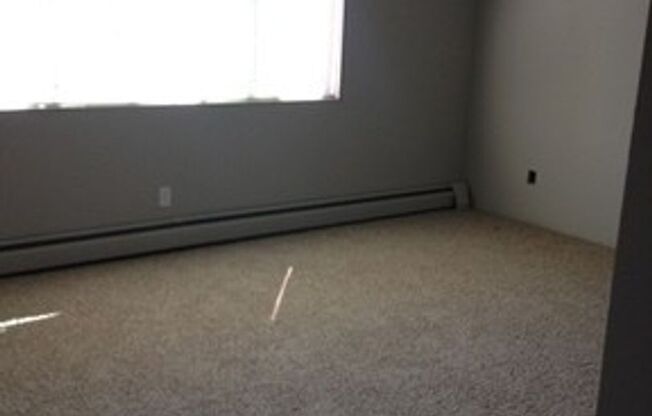 1 bed, 1 bath, 500 sqft, $1,095, Unit A206