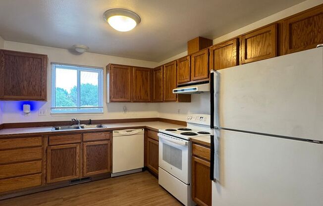 903 White Birch