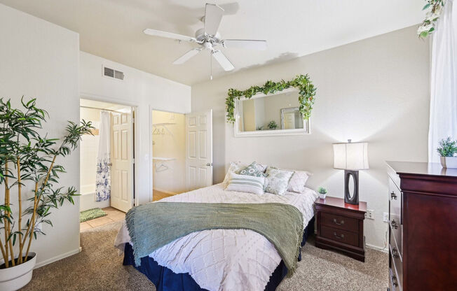 1 bed, 1 bath, 801 sqft, $1,299