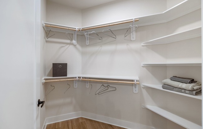 Walk-In Closet with Built in Shelves