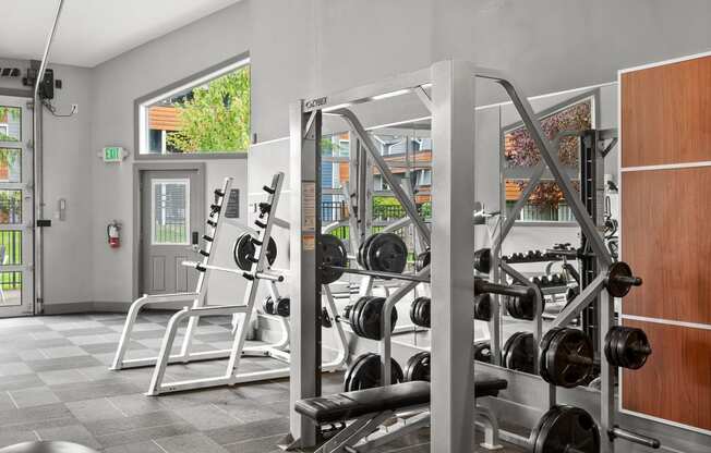 a gym with weights and a lot of mirrors