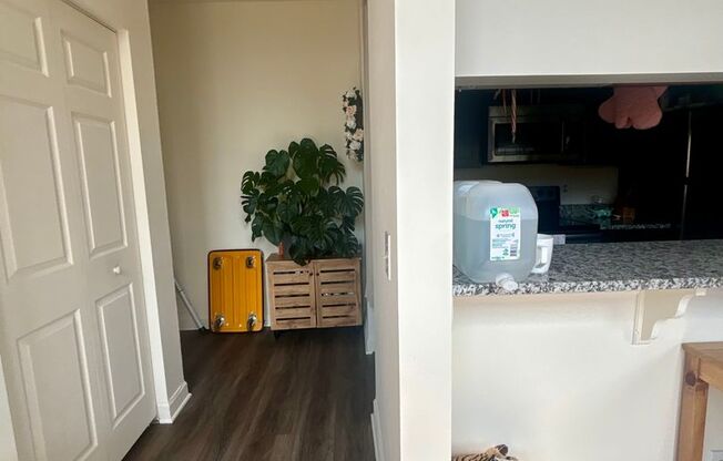 1 bed, 1 bath, 600 sqft, $1,649, Unit 323