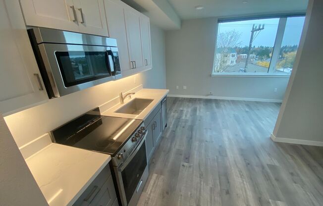 1 bed, 1 bath, 350 sqft, $1,395, Unit 301