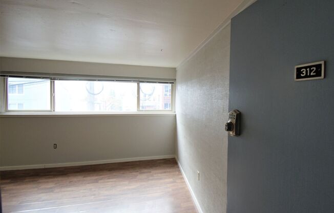 1 bed, 1 bath, 393 sqft, $1,395, Unit 312
