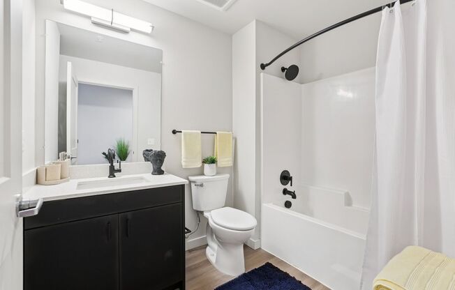 Studio, 1 bath, 360 sqft, $1,725, Unit 704
