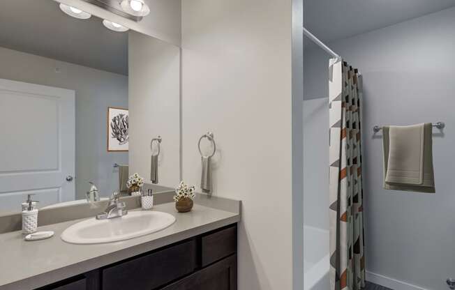 a bathroom with a sink and a shower and a mirror at Madison Park, Bozeman, MT