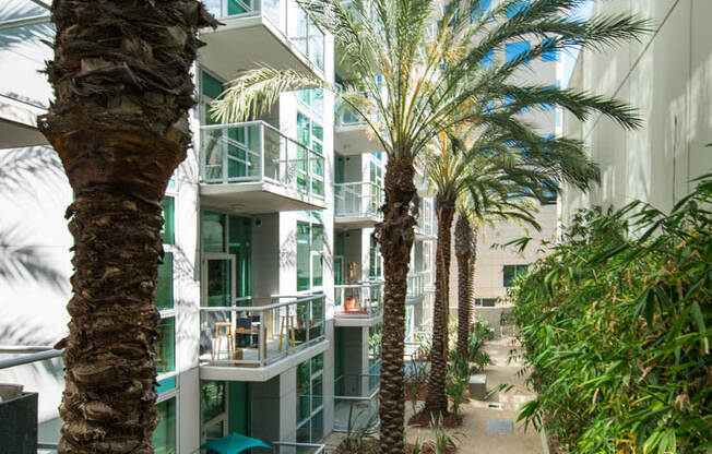 a group of palm trees in front of a building  at Vue, San Pedro, 90731