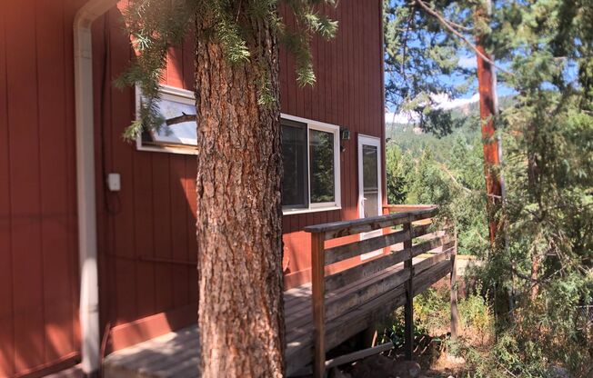 Peaceful 1 Bedroom Mountain Forest Home