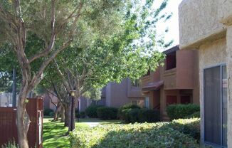 1 bed, 1 bath, $1,075, Unit # #C 28