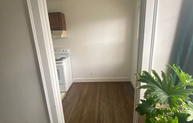 Studio, 1 bath, 520 sqft, $1,495, Unit 204