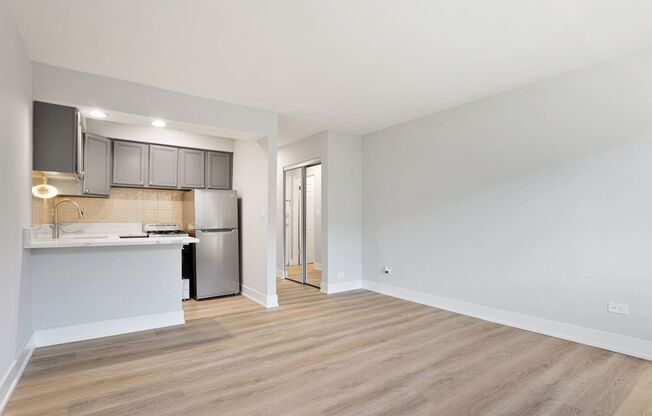 Studio, 1 bath, 298 sqft, $1,450, Unit 334