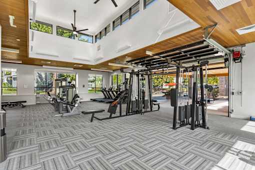 A gym with a variety of equipment including treadmills, weights, and a bench press.