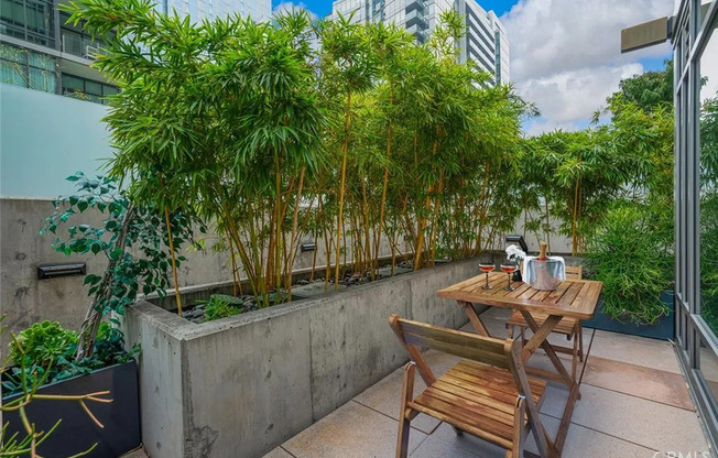 1 bed, 1 bath, 860 sqft, $3,000