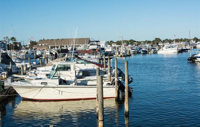 Bay Photo
