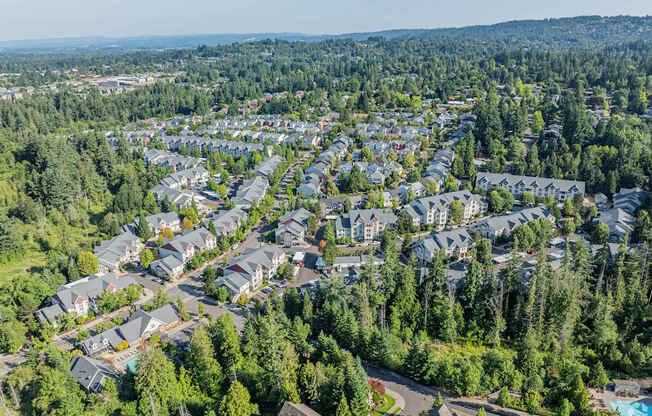 A bird's eye view of a residential area with houses surrounded by trees.