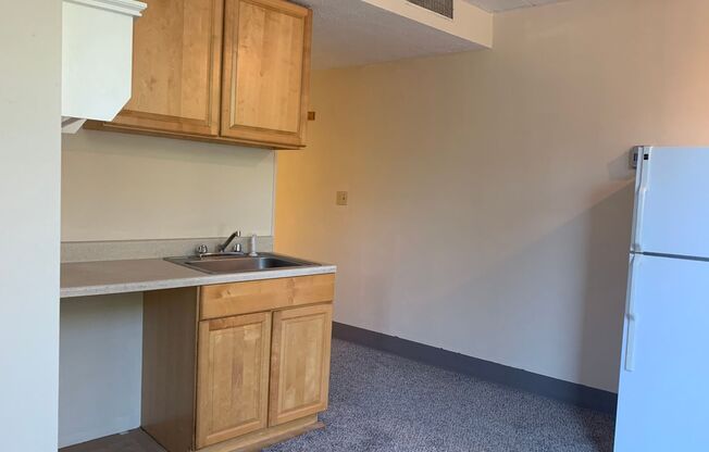Studio, 1 bath, $750, Unit 373