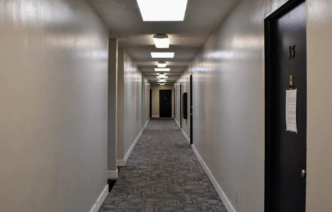 Carpeted hallway between units