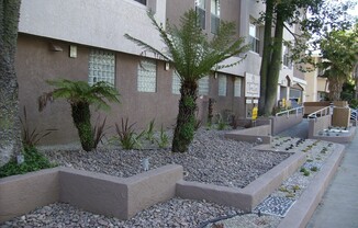 1 bed, 1 bath, 529 sqft, $1,795, Unit 413