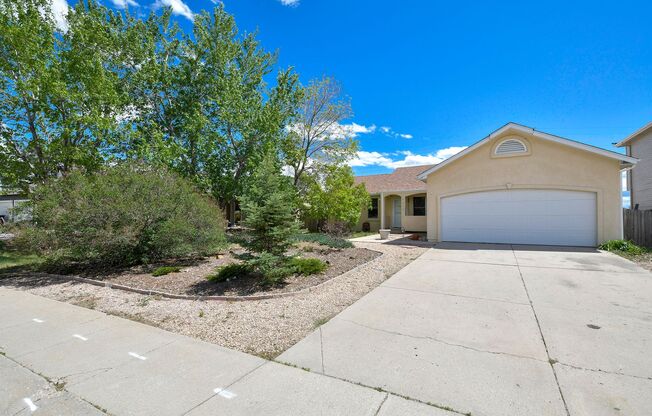 Pikes Peak Mountain View in Briargate! D20