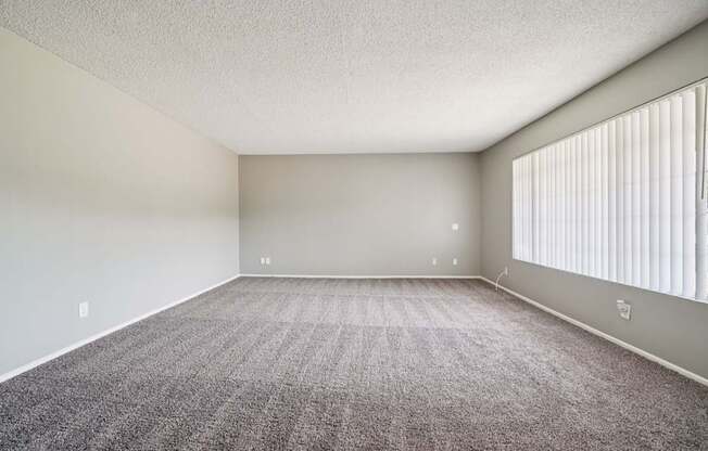 A large, empty room with carpeted floor and a window with blinds.