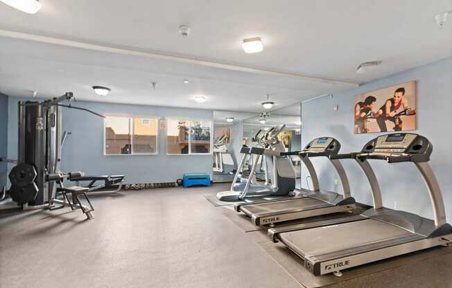 two treadmills and other exercise equipment in a gym with blue walls at Dronfield Astoria Sylmar, 91342