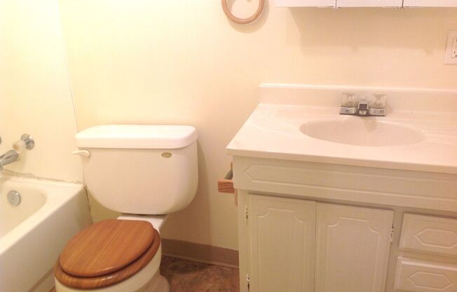 Studio, 1 bath, 450 sqft, $635, Unit 4215-B4