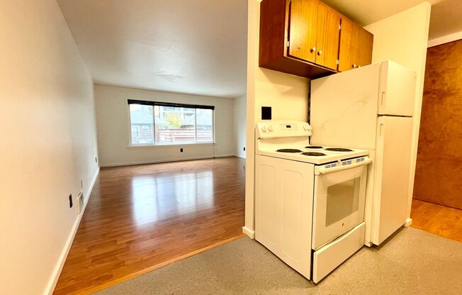 Studio, 1 bath, 464 sqft, $1,350, Unit 105