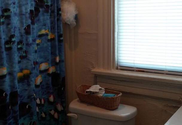 1 bed, 1 bath, $1,150, Unit Apt. 12