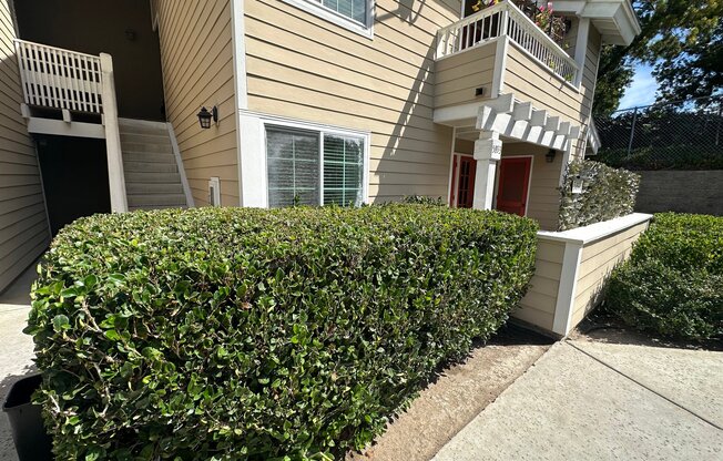5893 MT ALIFAN DR