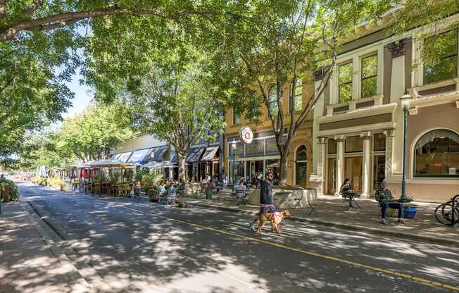 a city street with people walking a dog    and buildings at Avenue Two Apartments, California, 94063