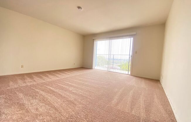 200 Irene Court