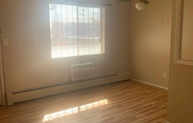 1 bed, 1 bath, $1,100, Unit 303