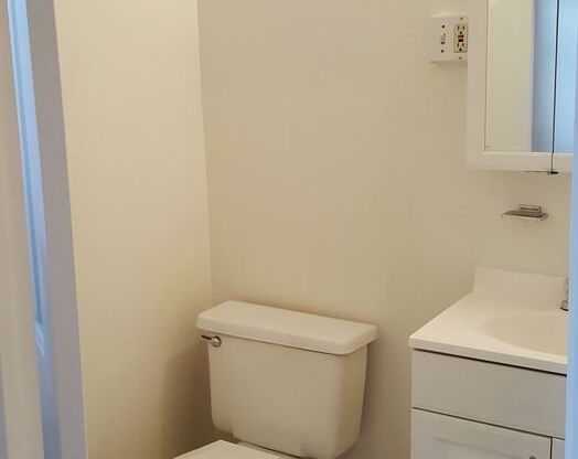 1 bed, 1 bath, 500 sqft, $1,325, Unit 306