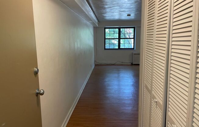 Studio, 1 bath, 487 sqft, $1,215, Unit Fifth L-A