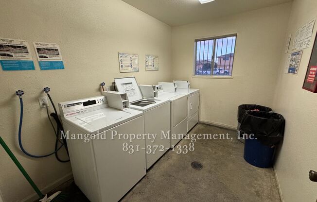 1 bed, 1 bath, 620 sqft, $1,775, Unit 0989-4