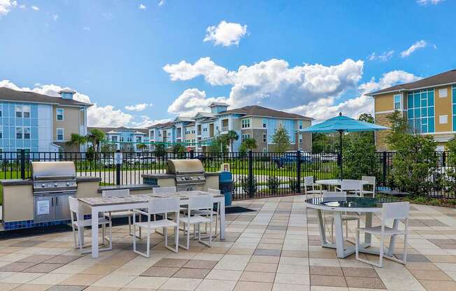 Gas grills for everyday use