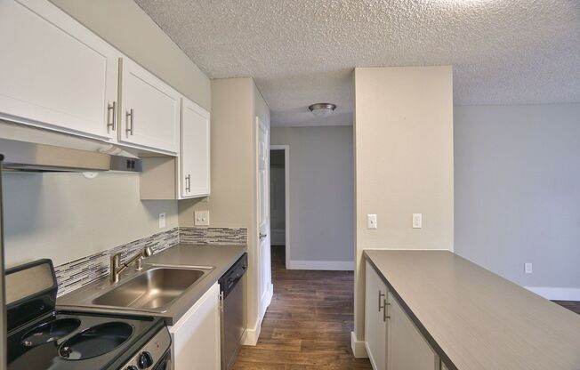 1 bed, 1 bath, 508 sqft, $1,249, Unit 51