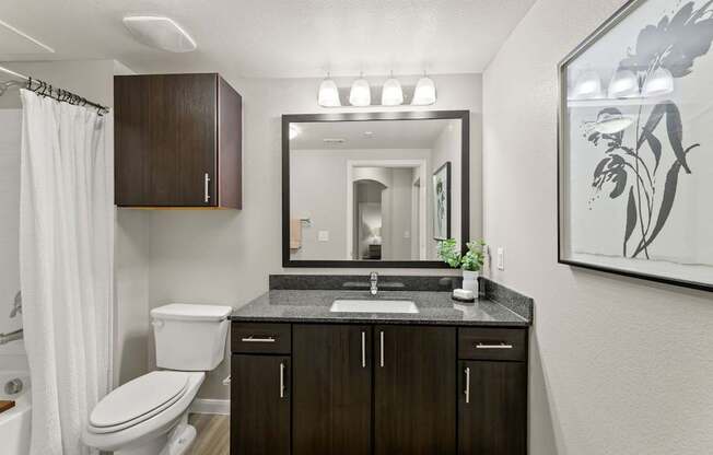 A bathroom with a white toilet, sink, and a large mirror.