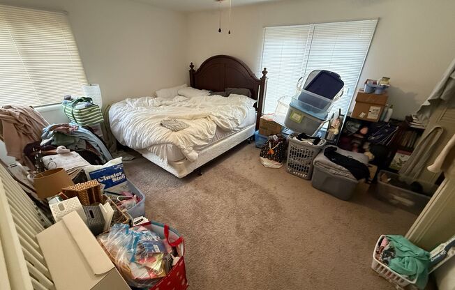 Williamsburg Flats 215